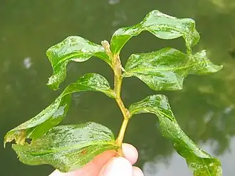 alternativní popis obrázku chybí