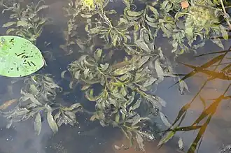 alternativní popis obrázku chybí