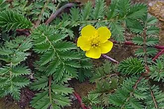 alternativní popis obrázku chybí