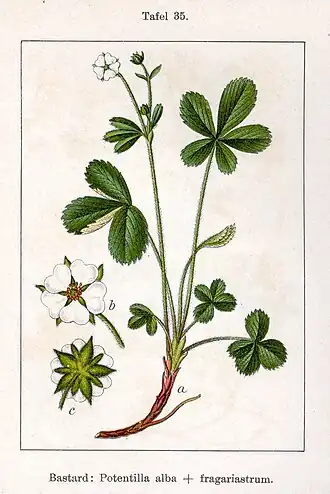 alternativní popis obrázku chybí