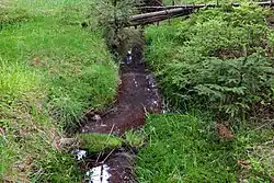 Limnice u Oldřichova