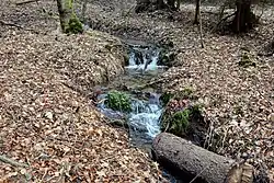 Mezi Lobzy a Březovou