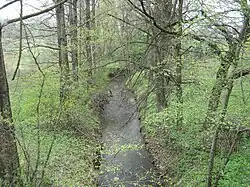 Potok Venclůvka v Šenově