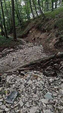 Koryto Sudoměřického potoka v létě 2023