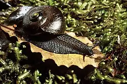 alternativní popis obrázku chybí