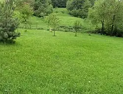 Přírodní památka Pozděchov