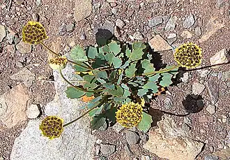 alternativní popis obrázku chybí