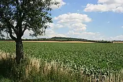 Pratecký kopec od Kobylnic