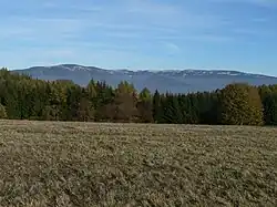 Pradědská hornatina od Rejchartic - vlevo masív Mravenečníku, vpravo hlavní hřeben od Vysoké hole po Ztracené kameny