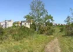 Přírodní památka V hrobech v Kamýku, na pozadí kamýcká sídliště Libuš a Lhotka