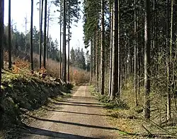 Jedna z cest údolím ke Kunratickému potoku