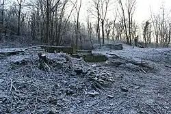 Ruiny někdejší usedlosti (2017)