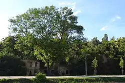 Praha, Břevnov, Panenská, ruiny 02.jpg