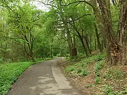 Cesta procházející parkem