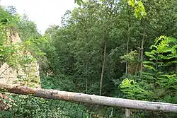 Pohled na rokli z vyhlídky umístěné na jejím okraji