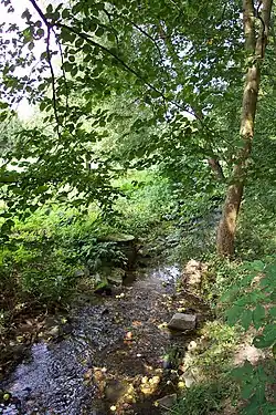 Kopaninský potok severně od Přední Kopaniny