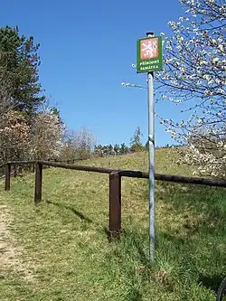 Celkový pohled na Pitkovickou stráň od naučné stezky
