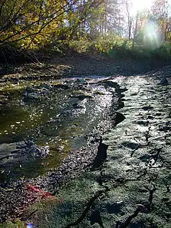 Litovický potok v Praze-Ruzyni