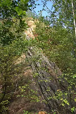 Výchozy řevnických křemenců v PP Skalka