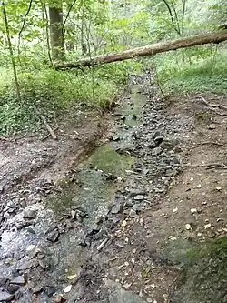 v údolí severozápadně od Cholupic