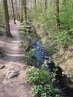 v Modřanské rokli