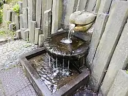 „Hlava žáby“ (2019)