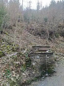 Ve svahu masivu Juřacka - Pramen Juřacka u Žabníku