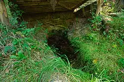 pramen Lešanského potoka