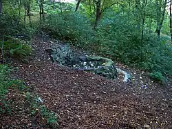 Pramen ve svahu Velké strahovské zahrady