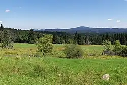 Chlum z Horní Sněžné