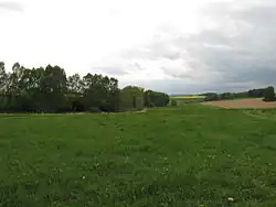 Pravostranný přítok pod rybníkem Louňov