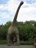 Brachiosaurus