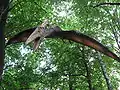 Pteranodon