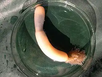 alternativní popis obrázku chybí