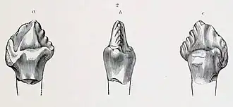 alternativní popis obrázku chybí