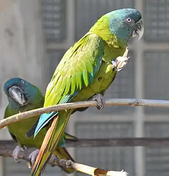 alternativní popis obrázku chybí