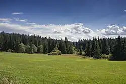 PP Kotlina pod Pláničským rybníkem