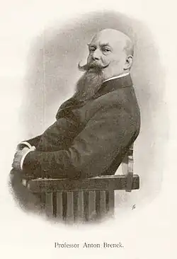 Anton Brenek
