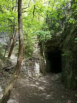 Vstup od asfaltové silničky Prokopským údolím