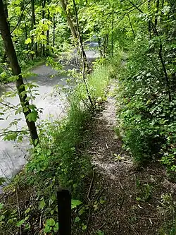 Zbytek tělesa trati podél asfaltové silničky Prokopským údolím