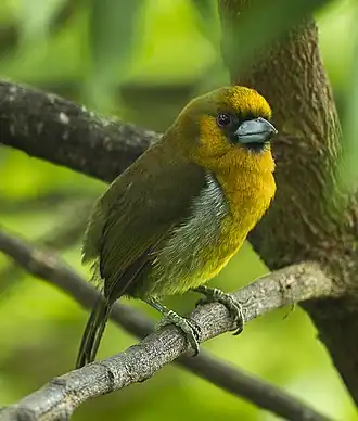 alternativní popis obrázku chybí