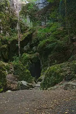 Místo propadání Jedovnického potoka nazvané Rudické propadání