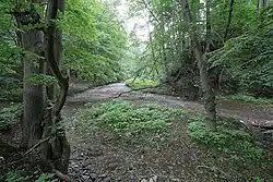 Řečiště potoka Bílá voda u propadání Nová rasovna