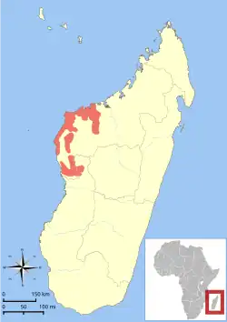 Areál rozšíření