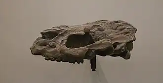 alternativní popis obrázku chybí