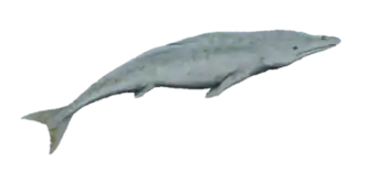 alternativní popis obrázku chybí