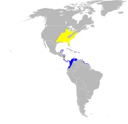 Areál rozšíření