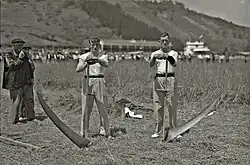 Prueba de segalaris en el hipódromo de Lasarte