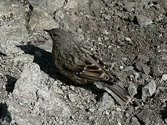 alternativní popis obrázku chybí