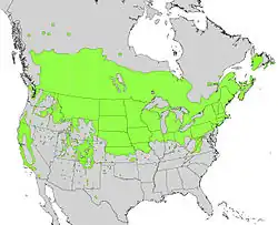 Areál rozšíření